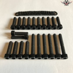 Harley Cam Cover Screws Black V-Rod® Night Rod Special® Muscle® 2002+