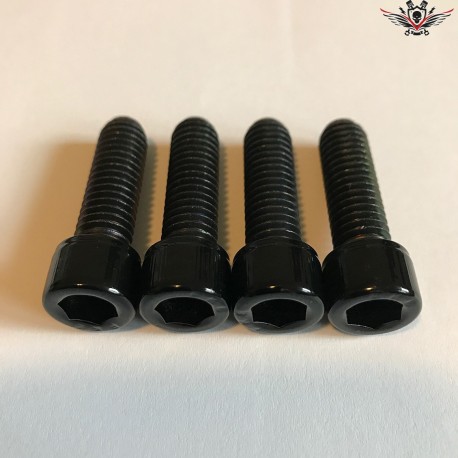 Harley-Davidson Fußrastenhalter Schrauben Schwarz Sportster® 2007+