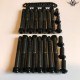Harley-Davidson Primary Cover Screws Black Sportster® 2004+