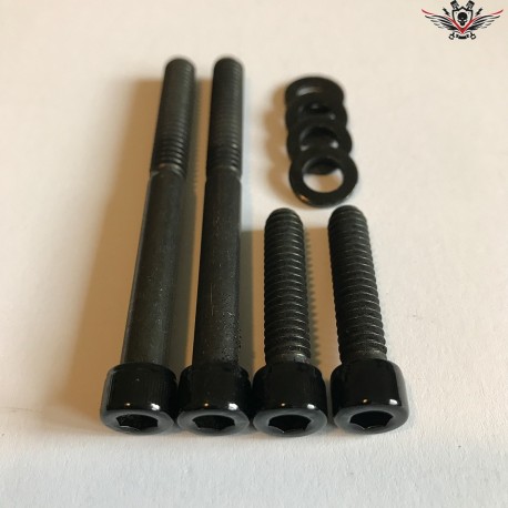 Harley-Davidson Oil Pump Screws Black Sportster® 2004+
