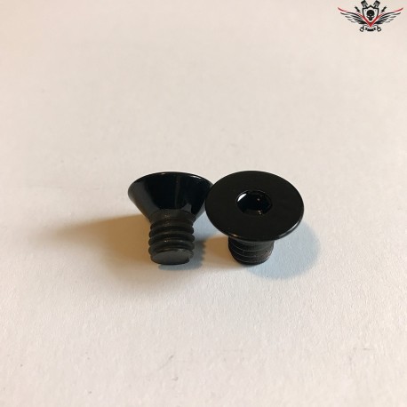 Harley-Davidson Air Cleaner Cover Screws Black Sportster® 2004+