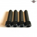 Harley Front Fender Screws Black Sportster XL1200X®