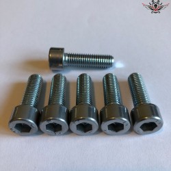 Harley Clamps Screws Chrome V-Rod® Night Rod Special® Muscle® 2002+