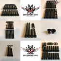 Harley Engine Screws Kit Black Sportster® 2007+