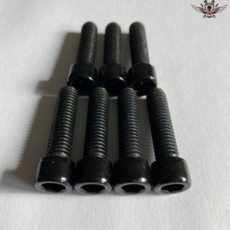 Harley-Davidson Steering Head Bracket Screws Black Sportster® XL1200X