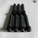 Harley Steering Head Bracket Screws Black Sportster® XL1200X