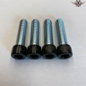 Harley Handlebar Screws Black Sportster XL883C/N/L/R XL1200C/N/L/X/V/CP/CA/CB®